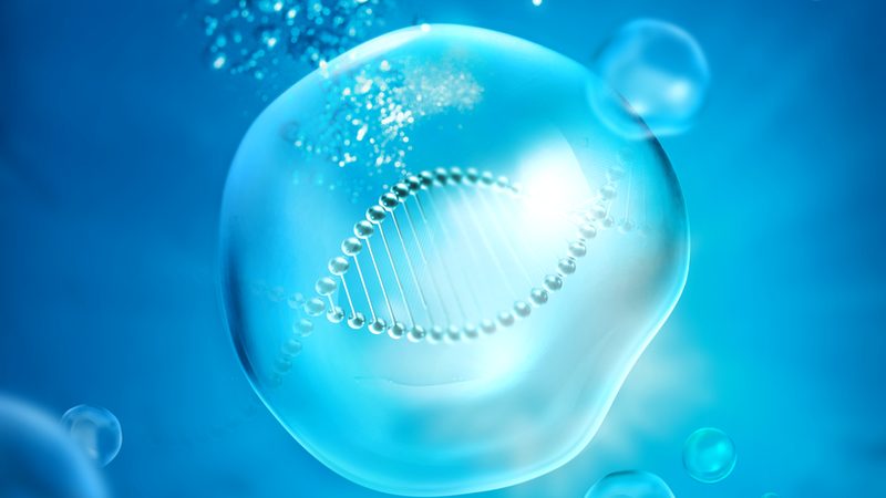 生物医药制剂代加工：揭秘背后的技术秘密**