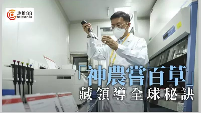 药品注册证办理流程揭秘：合规之路的每一步