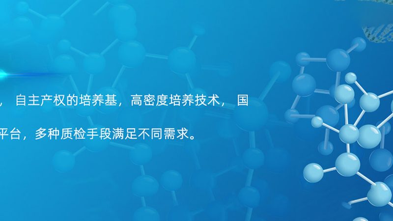 CRo药物研发流程：揭秘药物从实验室到市场的秘密通道