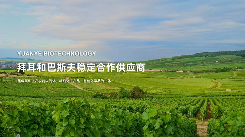 纺织酶制剂代理价格：揭秘影响价格的关键因素