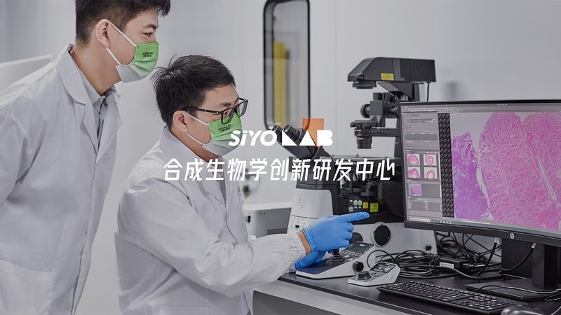 酶制剂国标饲料添加剂规范：合规之路与行业洞察**