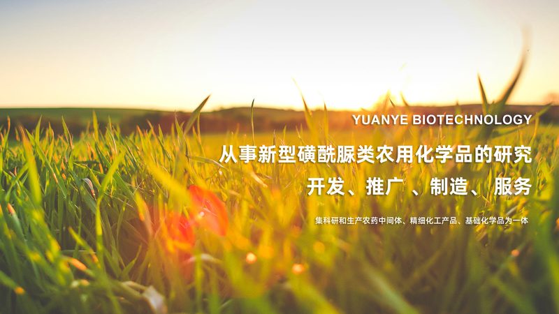 细胞培养基的“秘境”：成分分类揭秘**