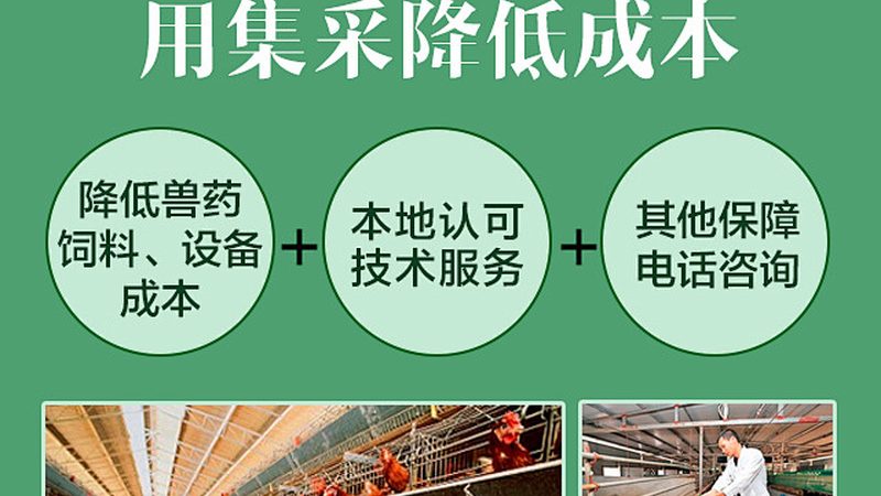 实验室耗材：批发价格背后的考量因素**