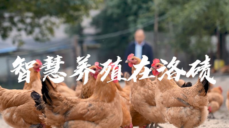 细胞工厂材质：安全性与性能的平衡之道**
